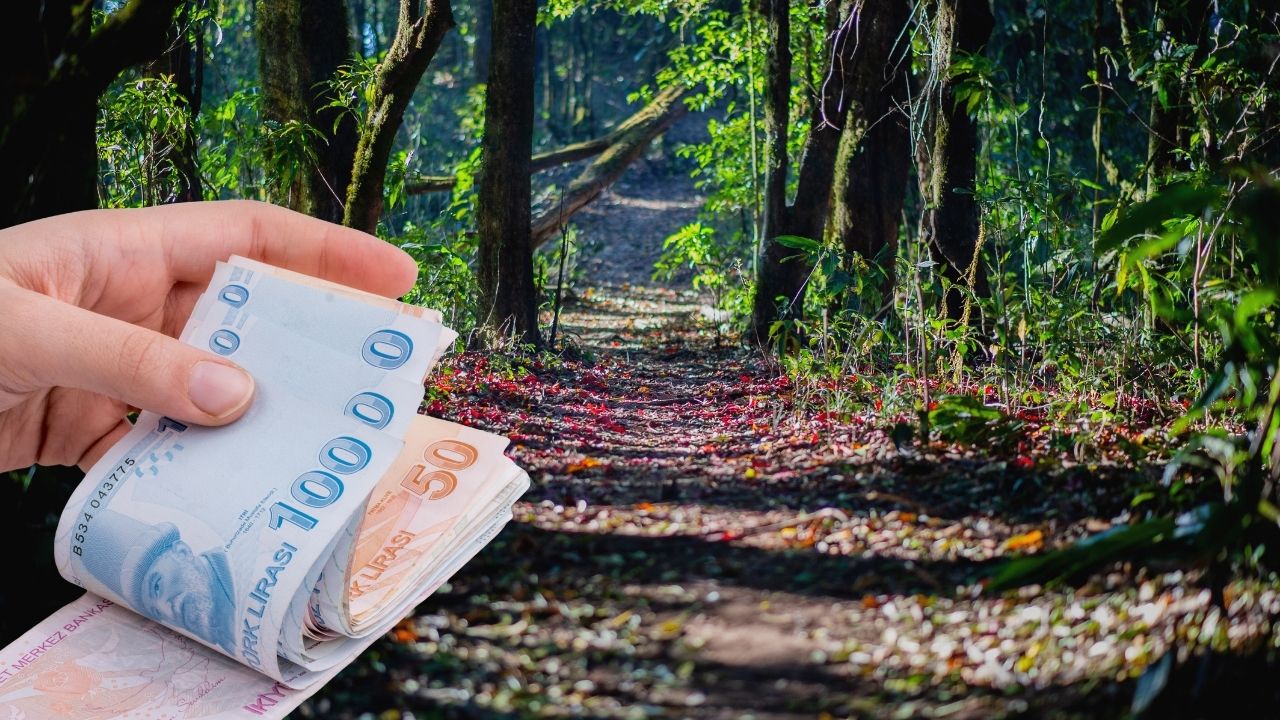 Tarım Bakanlığı 2.55 Milyar TL Destek Duyurdu!