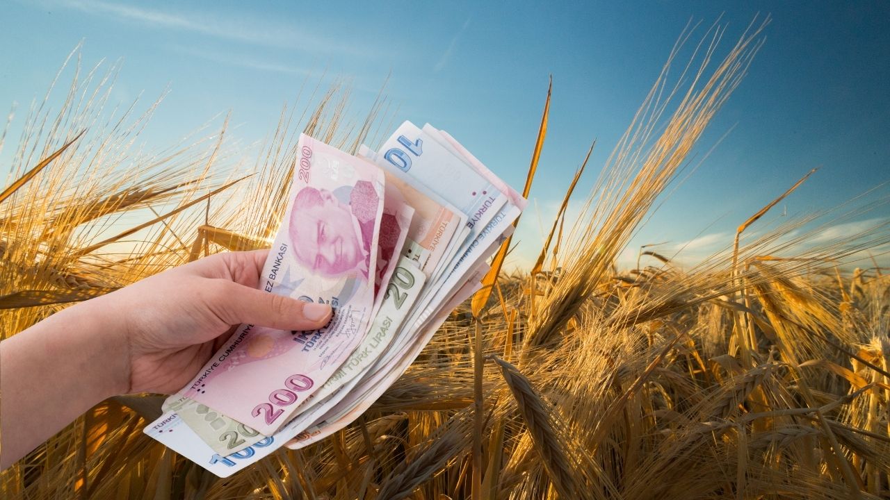 Çiftçilere Müjde: Herkesin Beklediği Ödemeler Hesaplarda!